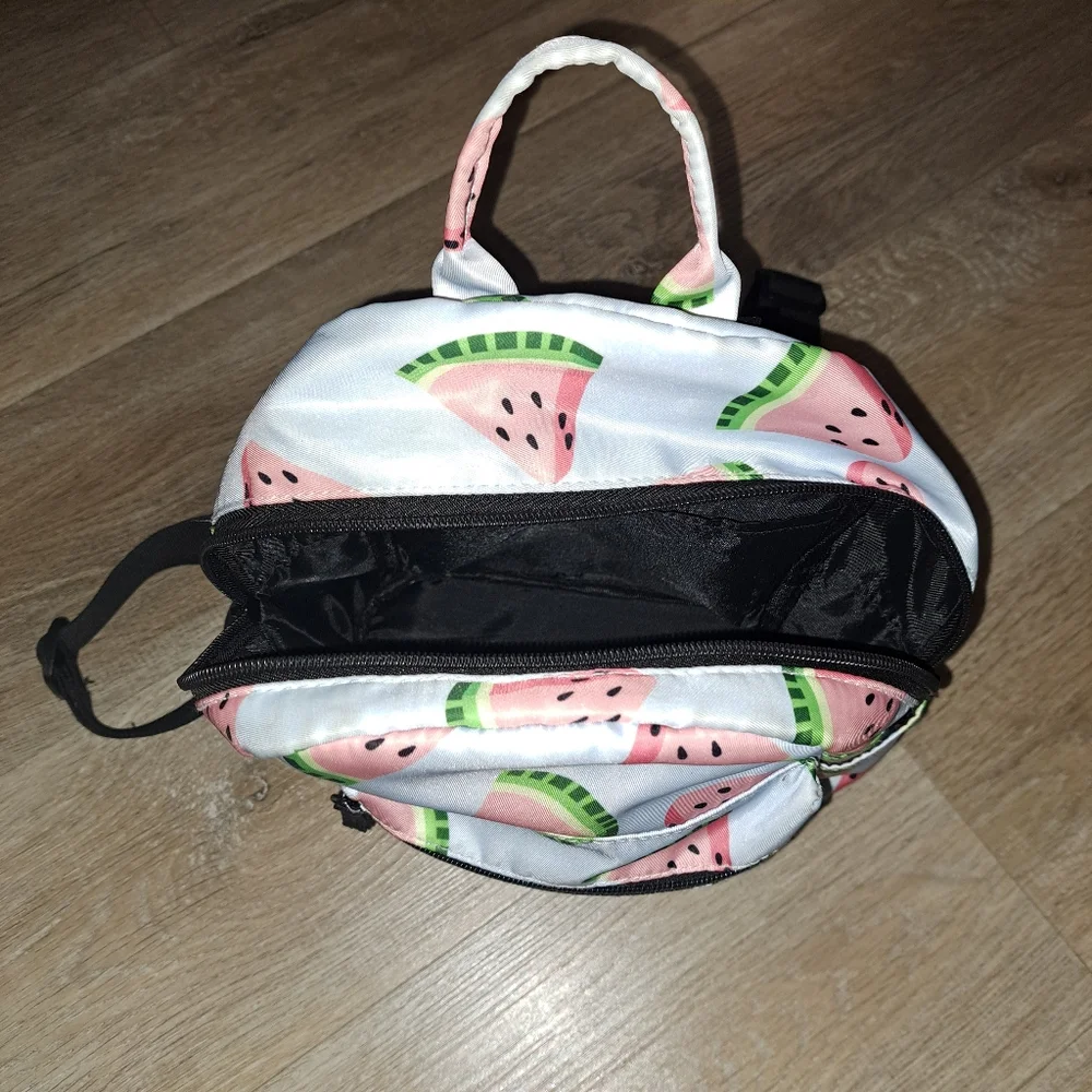 Kids Youth Girl's Blue Pink Watermelon Print Mini Backpack